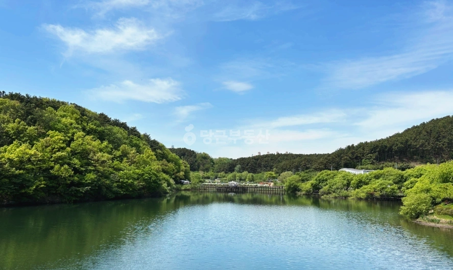울산광역시 남구 야음동 아파트 사진 1