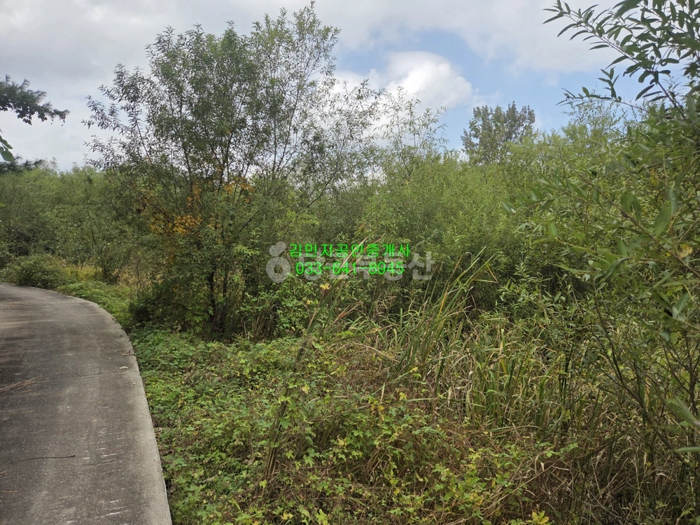 강원특별자치도 강릉시 운산동 토지 사진 1