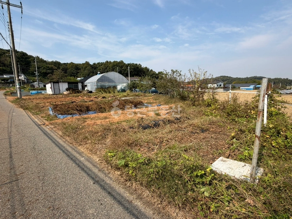 경기도 화성시 만세구 서신면 토지 사진 1