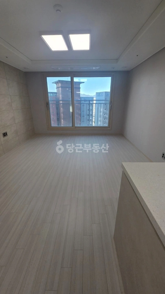 강원특별자치도 강릉시 교동 아파트 사진 1