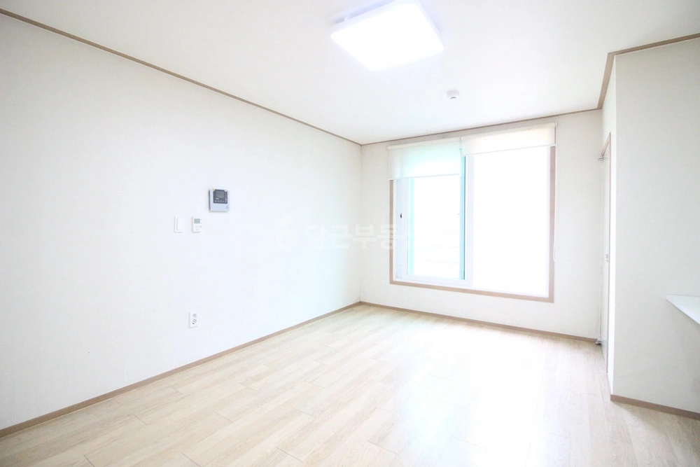 서울특별시 강남구 신사동 원룸 사진 1