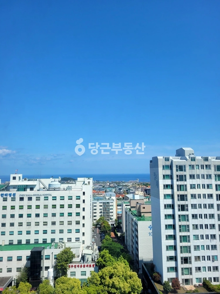 제주특별자치도 제주시 연동 오피스텔 사진 1
