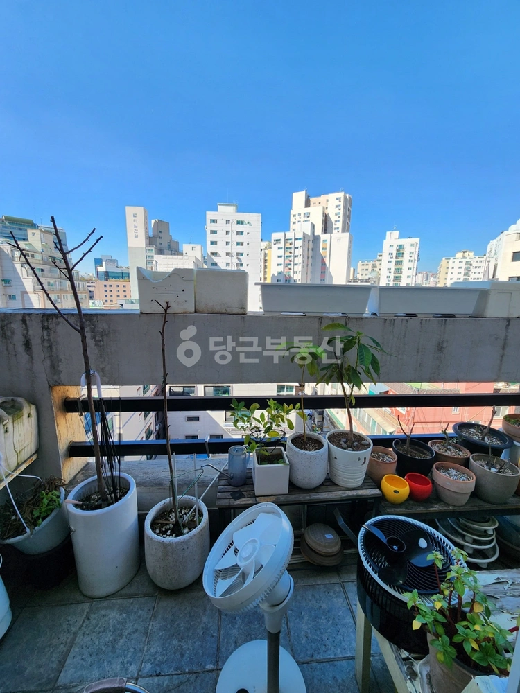 인천광역시 부평구 부평동 빌라(투룸 이상) 사진 1