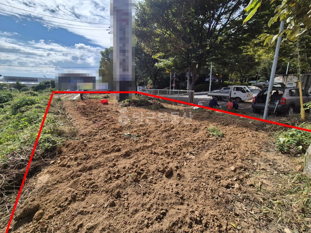 전남광주통합특별시 광산구 신창동 토지 사진 1