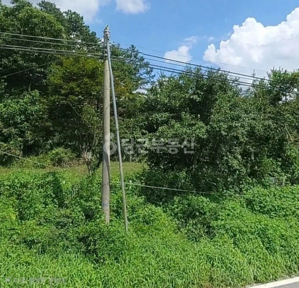 충청북도 청주시 상당구 낭성면 토지 사진 1