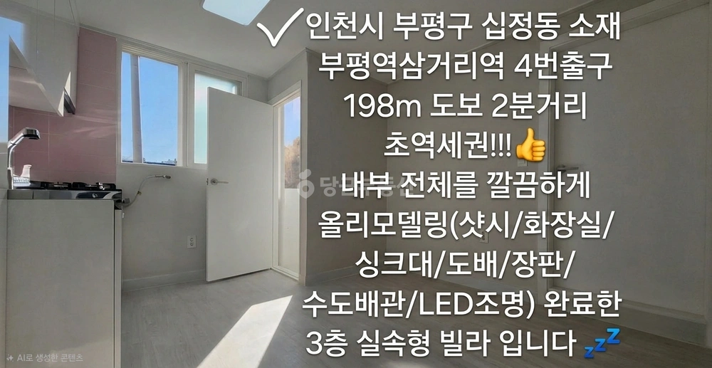인천광역시 부평구 십정동 빌라(투룸 이상) 사진 1
