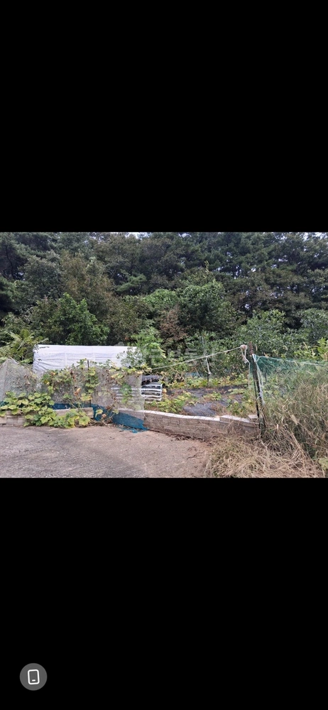 충청남도 천안시 동남구 광덕면 토지 사진 1