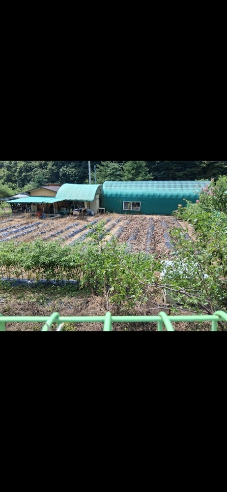 충청남도 천안시 동남구 북면 토지 사진 1