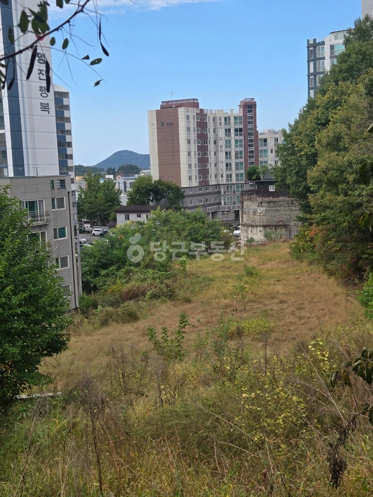 전남광주통합특별시 영광군 영광읍 토지 사진 1