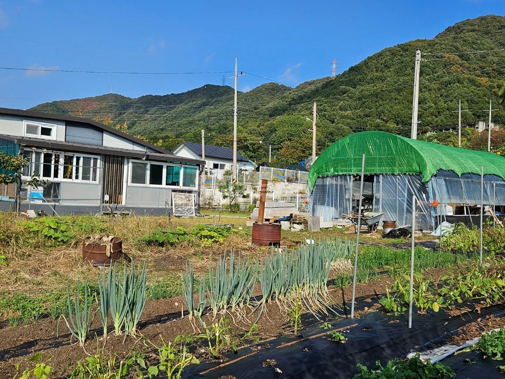 충청남도 논산시 연산면 토지 사진 1
