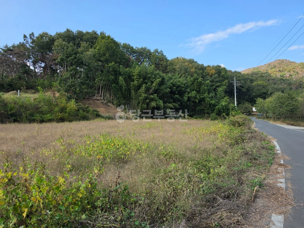 경상북도 김천시 개령면 토지 사진 1
