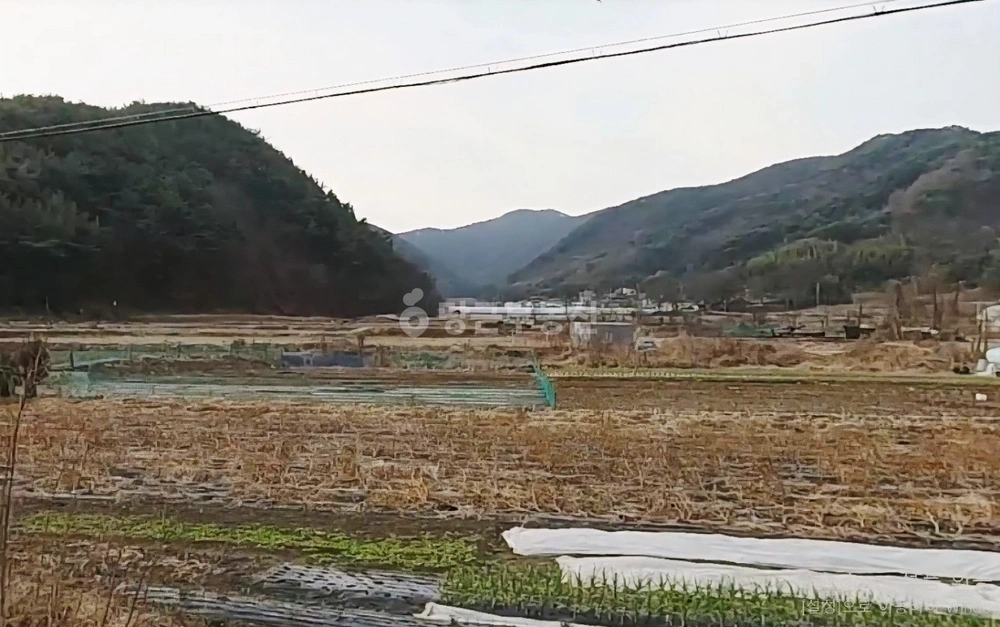 경상남도 진주시 이반성면 토지 사진 1