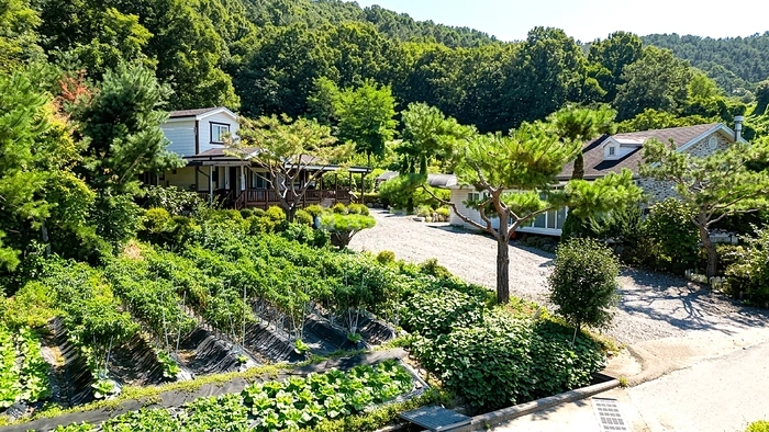 경기도 양평군 지평면 단독/전원주택 사진 1