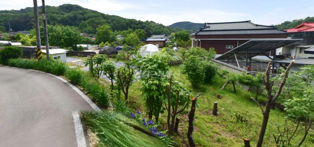 경상북도 성주군 선남면 토지 사진 1