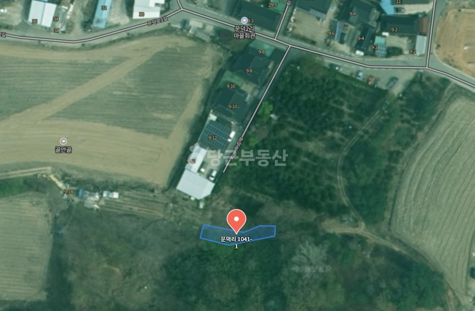 경상북도 성주군 초전면 토지 사진 1