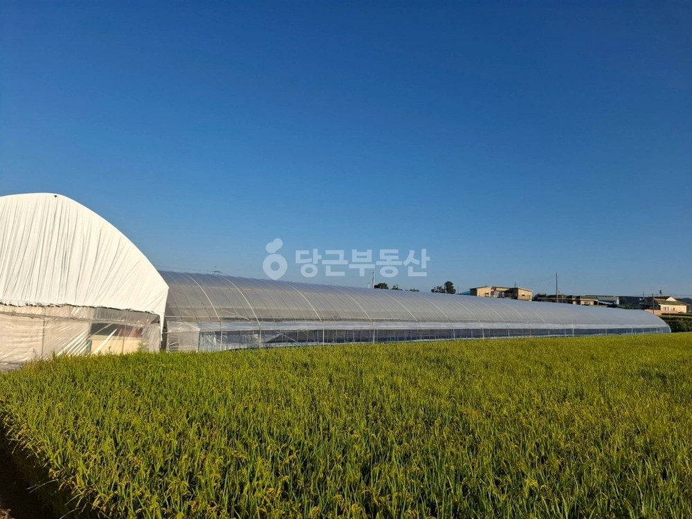 충청남도 논산시 부적면 토지 사진 1