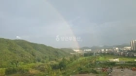 대전광역시 서구 도안동 아파트 사진 1