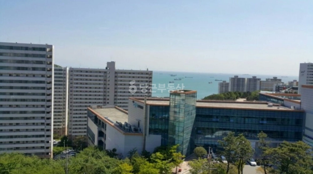 부산광역시 영도구 동삼동 아파트 사진 1