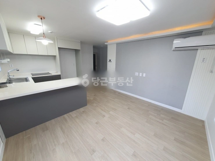 대전광역시 서구 도안동 빌라(투룸 이상) 사진 1
