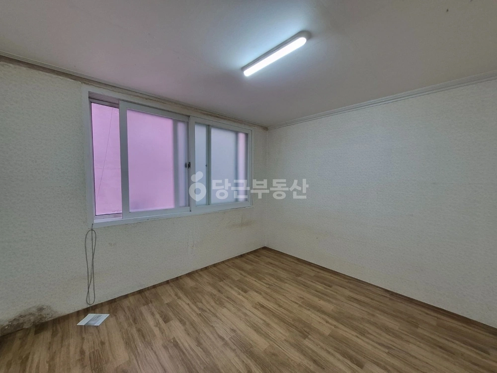 울산광역시 동구 서부동 빌라(투룸 이상) 사진 1