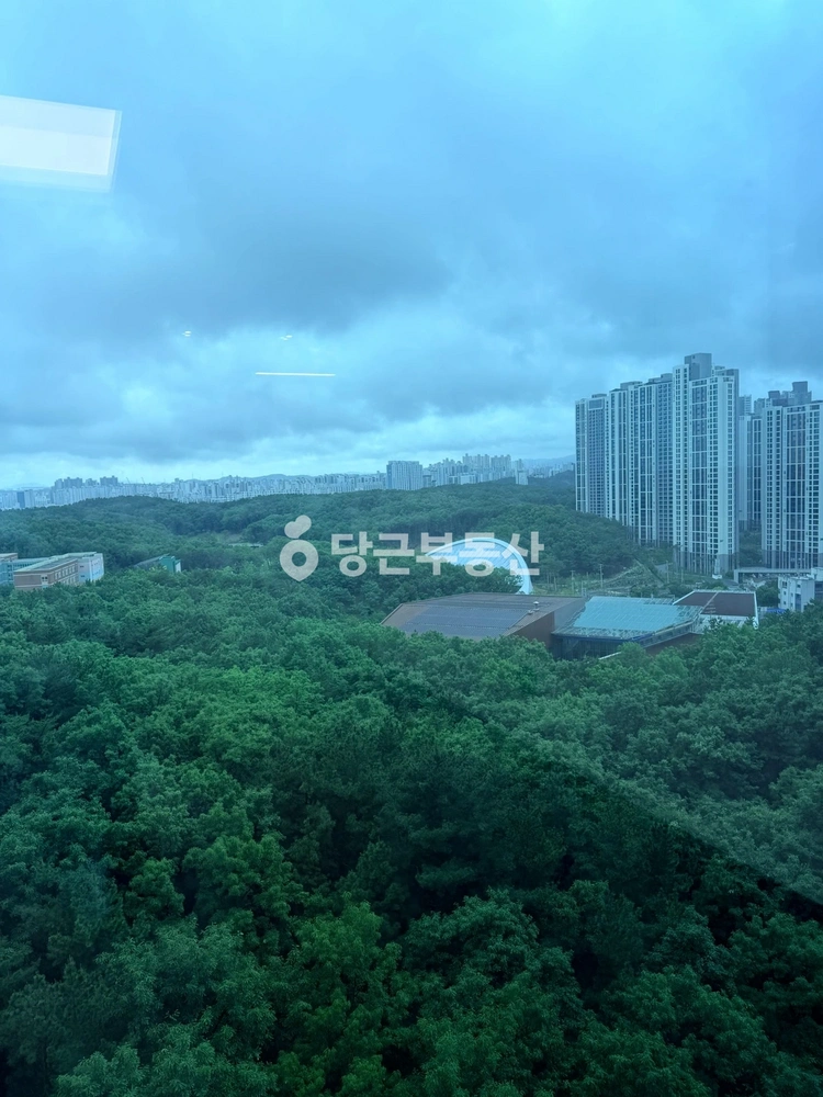 경상북도 포항시 북구 양덕동 아파트 사진 1