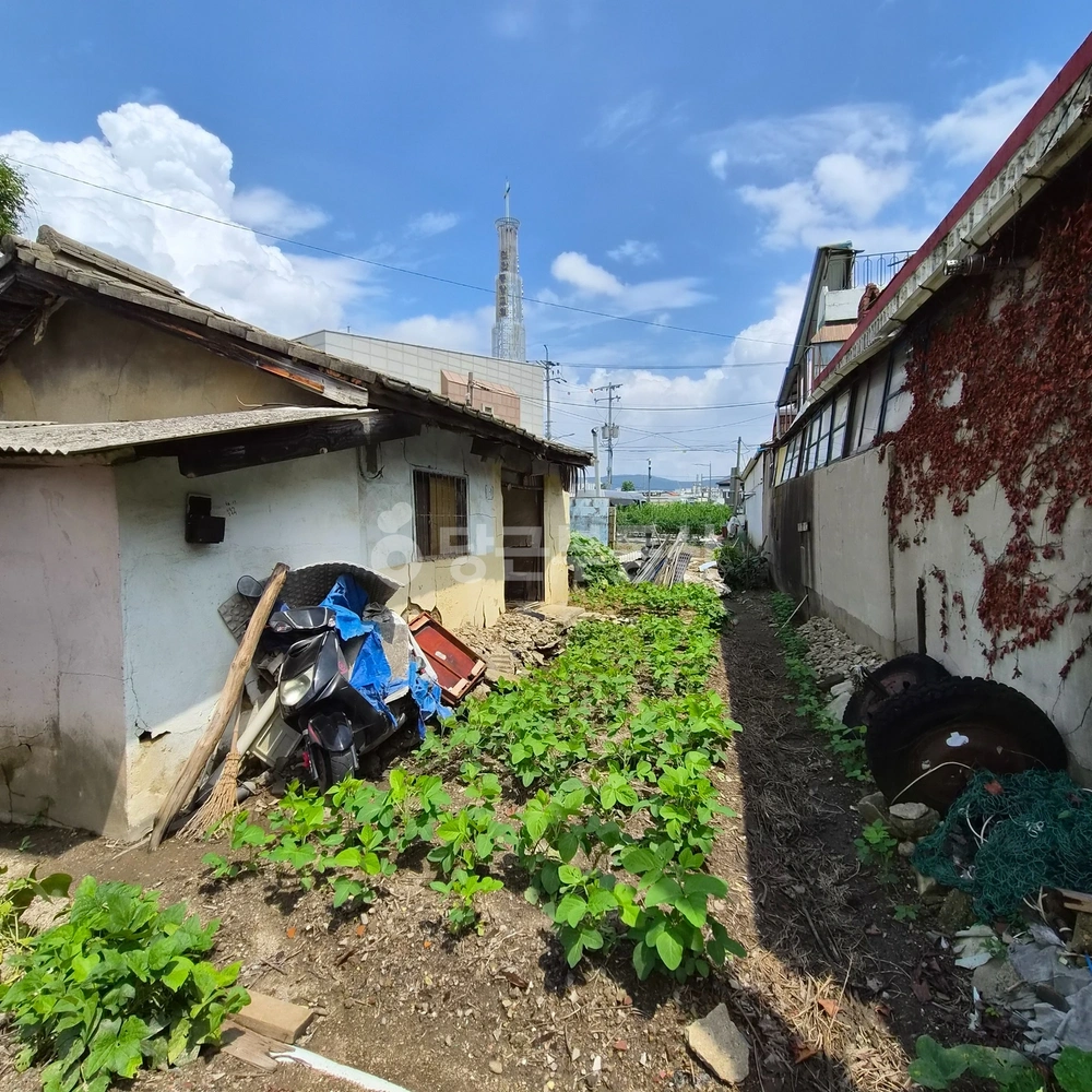 충청남도 천안시 서북구 성정동 단독/전원주택 사진 1
