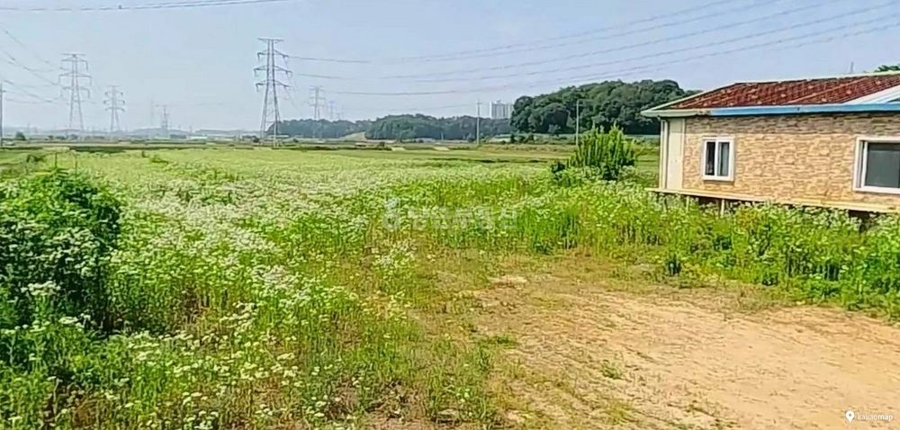 경기도 평택시 안중읍 토지 사진 1