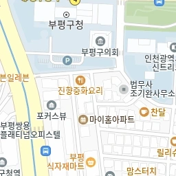 인천광역시 부평구 부평동 오피스텔 사진 1