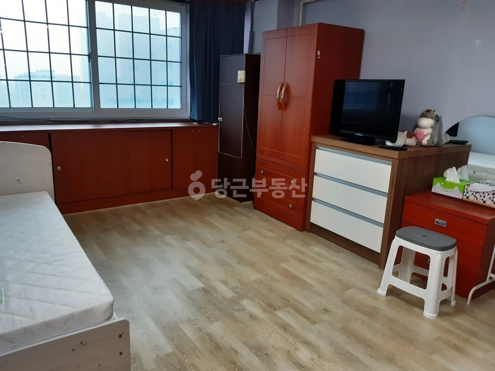 제주특별자치도 제주시 연동 원룸 사진 1