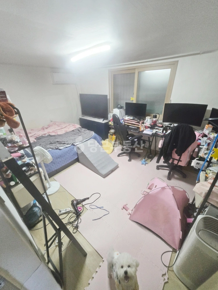 서울특별시 관악구 신림동 빌라(투룸 이상) 사진 1