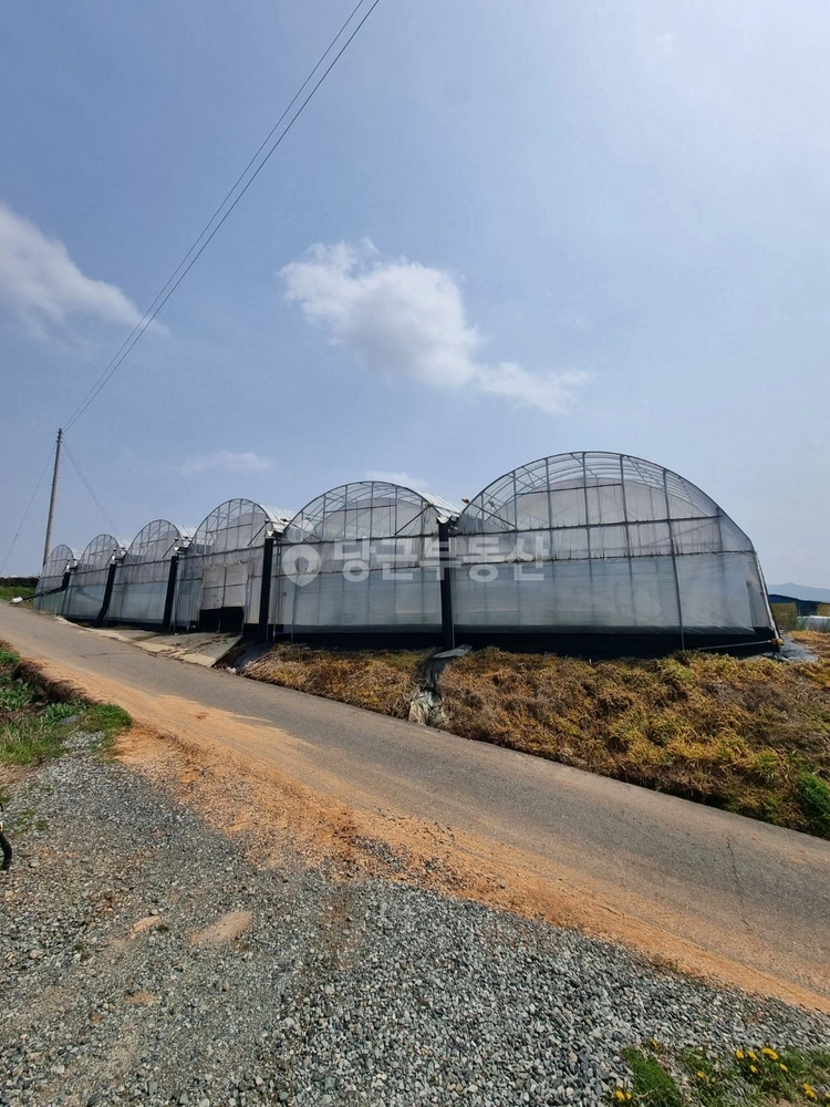 전남광주통합특별시 영암군 군서면 토지 사진 1