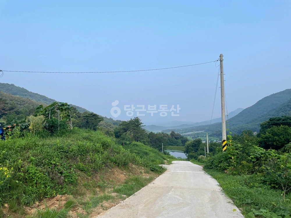 경상북도 의성군 다인면 토지 사진 1
