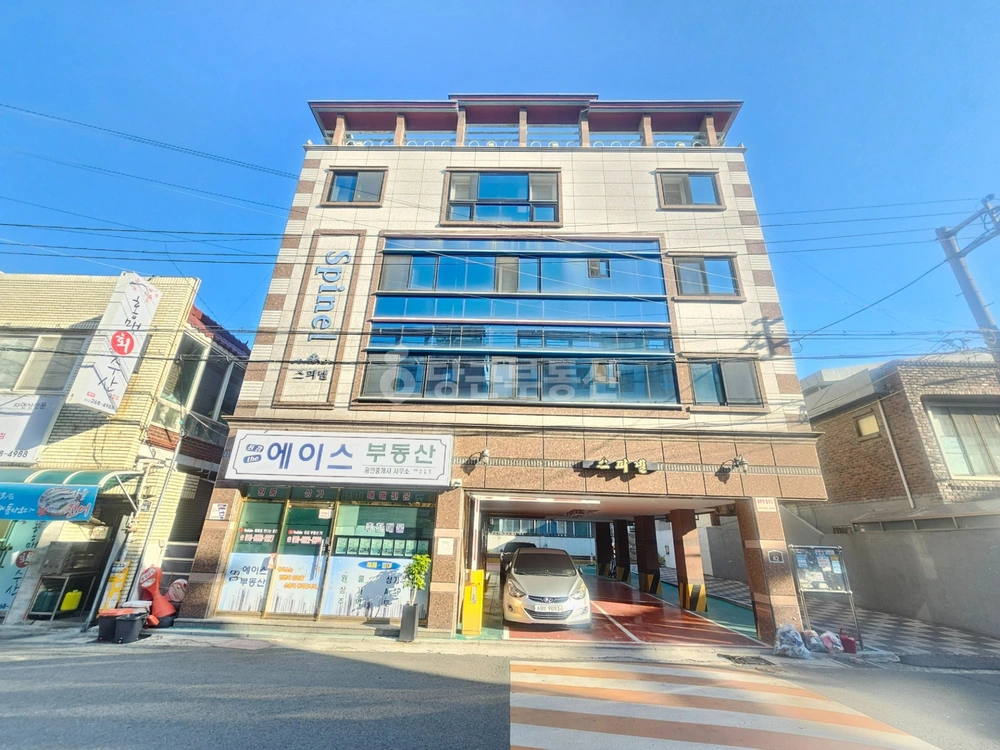 대구광역시 달서구 성당동 빌라(투룸 이상) 사진 1