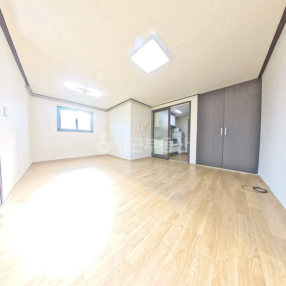 대전광역시 서구 괴정동 원룸 사진 1