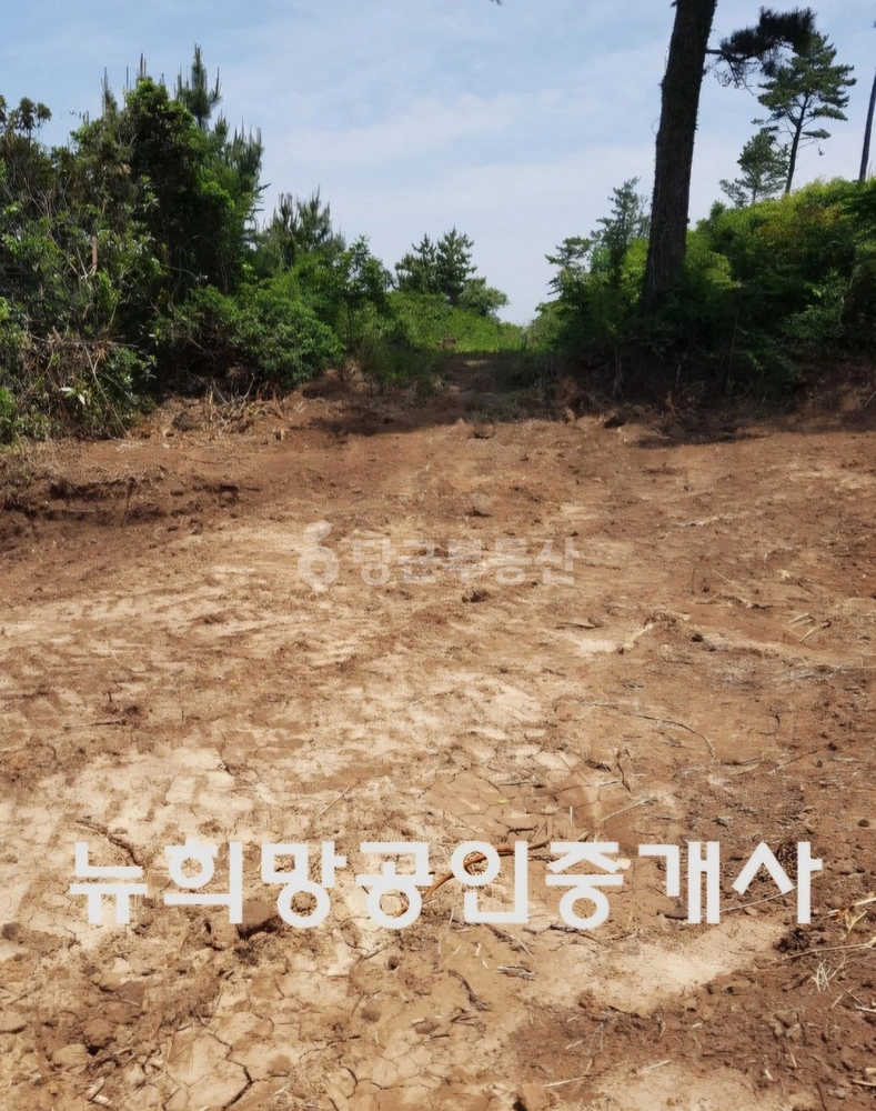 제주특별자치도 제주시 한경면 토지 사진 1