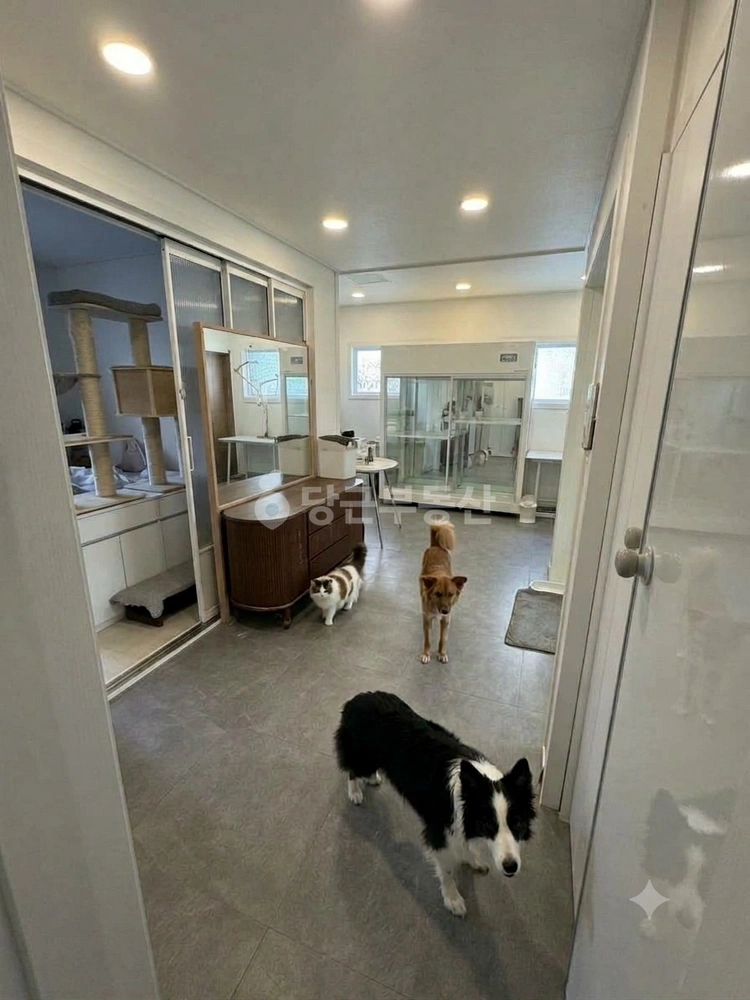 경상남도 창원시 진해구 여좌동 단독/전원주택 사진 1