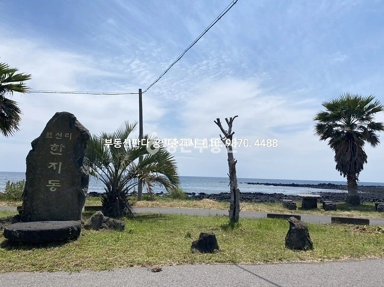 제주특별자치도 서귀포시 표선면 토지 사진 1