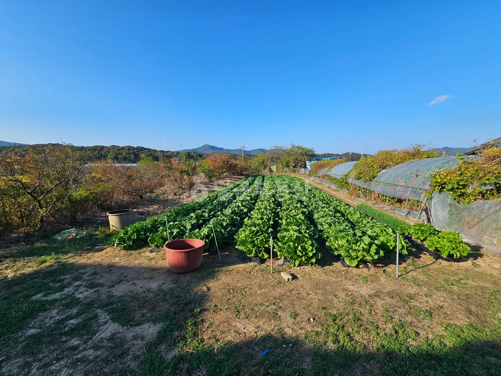 경상북도 김천시 조마면 토지 사진 1