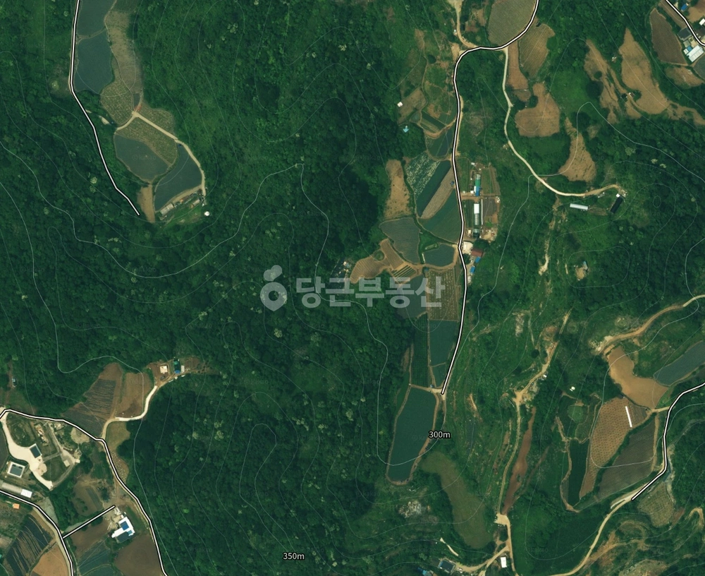 충청북도 제천시 덕산면 토지 사진 1