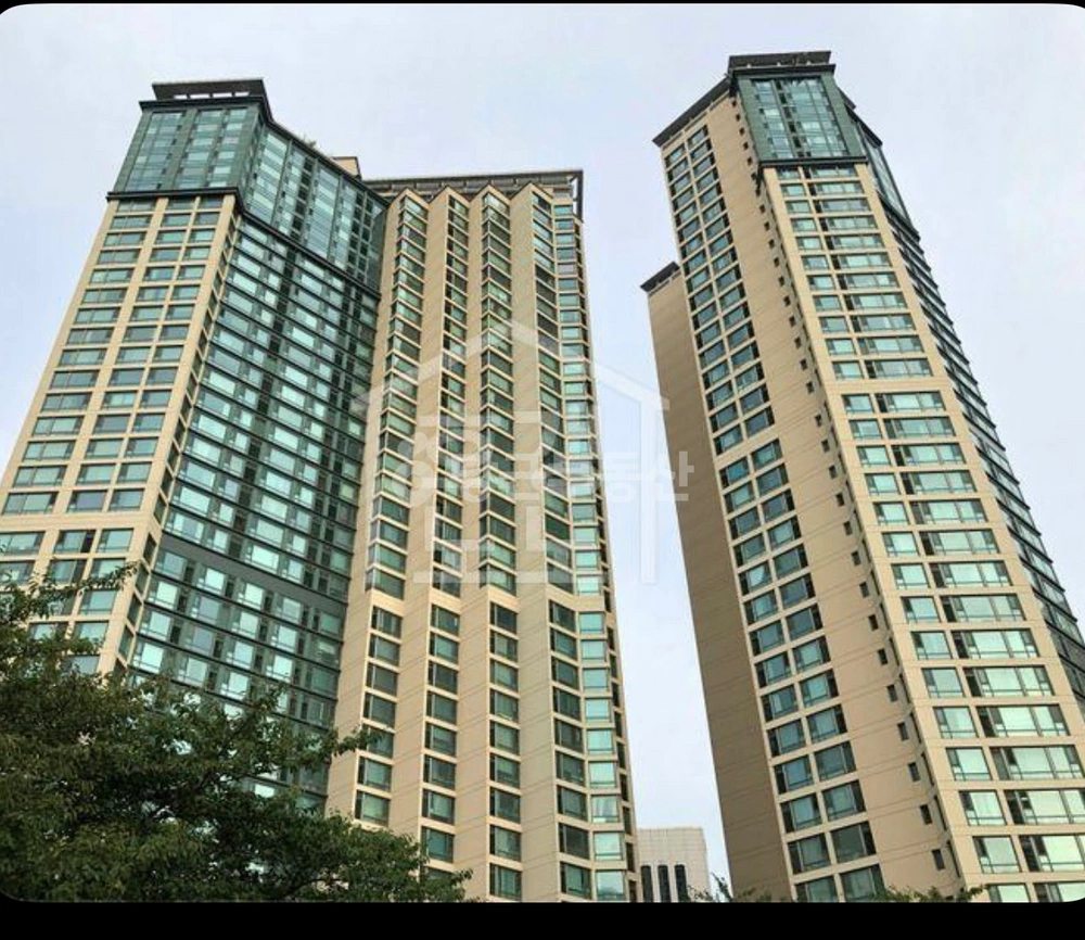서울특별시 마포구 도화동 아파트 사진 1