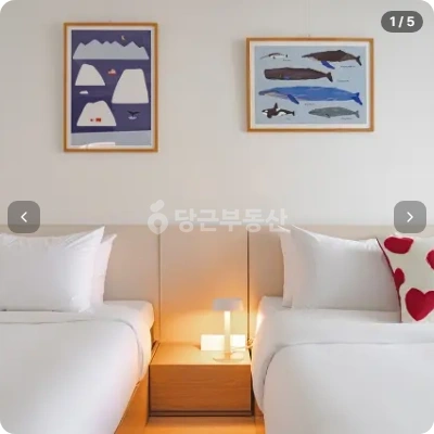 강원특별자치도 속초시 영랑동 오피스텔 사진 1