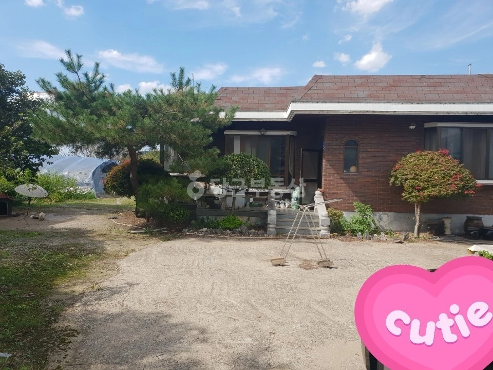 충청남도 논산시 성동면 단독/전원주택 사진 1