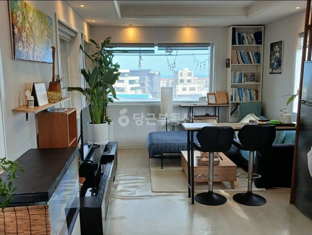 제주특별자치도 제주시 노형동 단독/전원주택 사진 1
