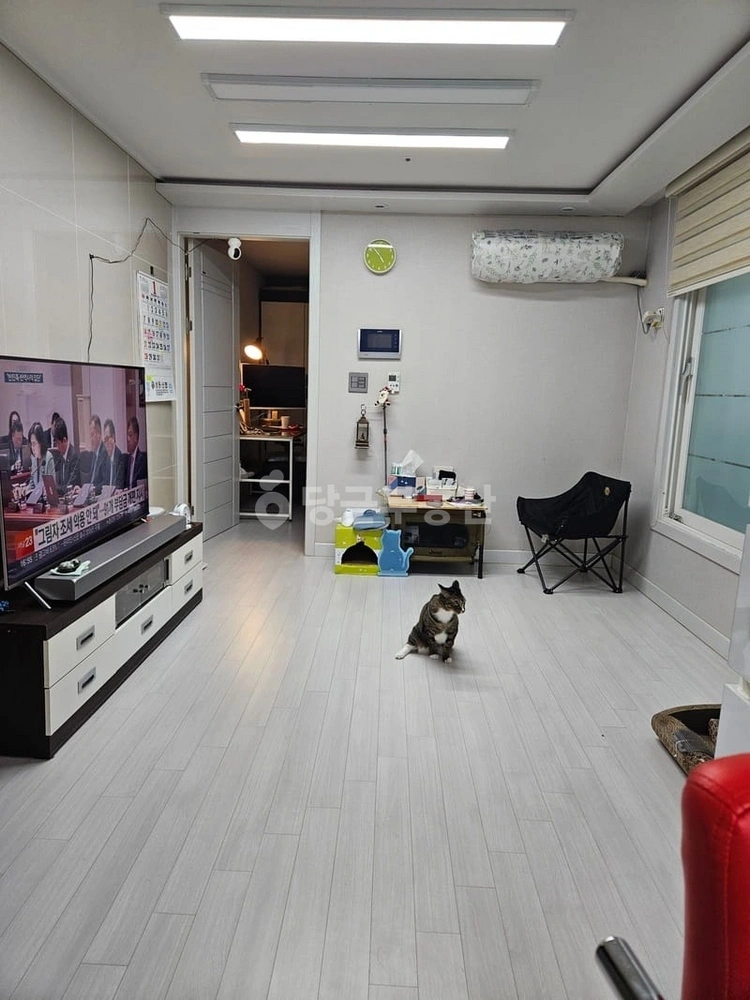 서울특별시 동대문구 장안동 빌라(투룸 이상) 사진 1