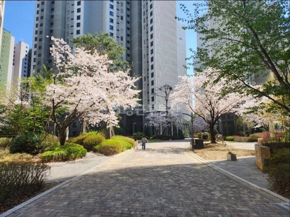 경기도 안양시 동안구 호계동 아파트 사진 1