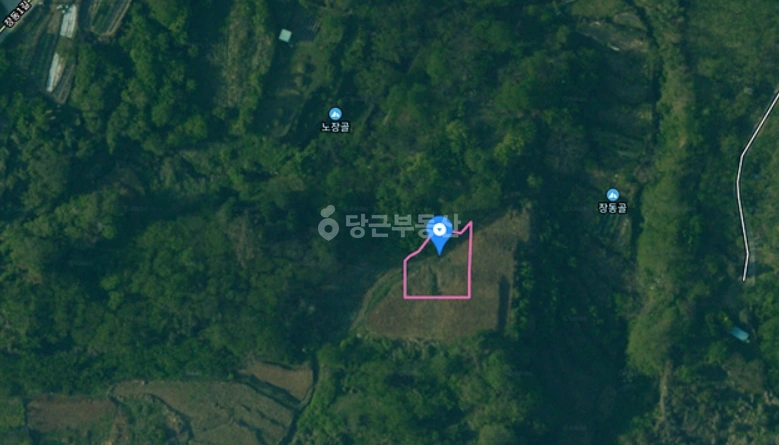 전남광주통합특별시 광양시 옥곡면 토지 사진 1