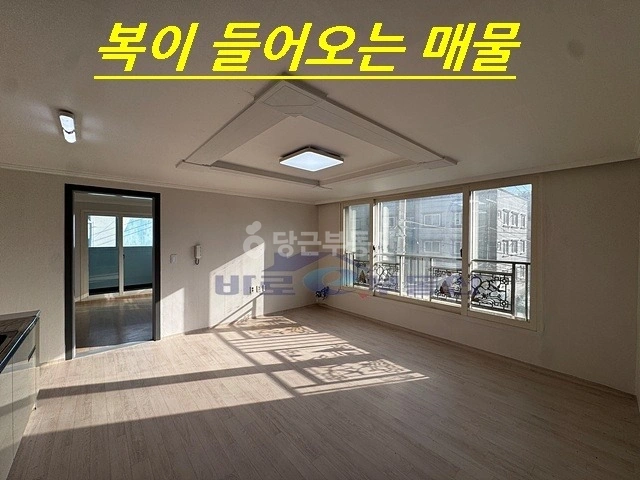 대전광역시 서구 용문동 빌라(투룸 이상) 사진 1
