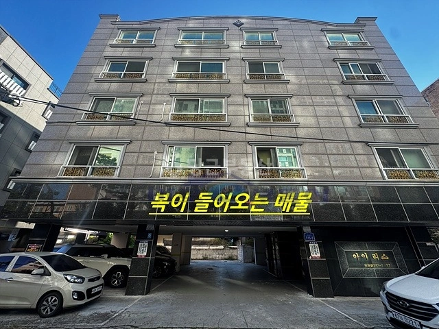 대전광역시 서구 용문동 빌라(투룸 이상) 사진 1