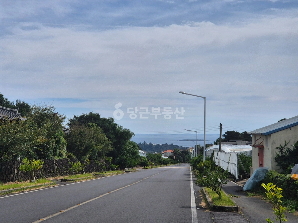 제주특별자치도 서귀포시 상효동 토지 사진 1