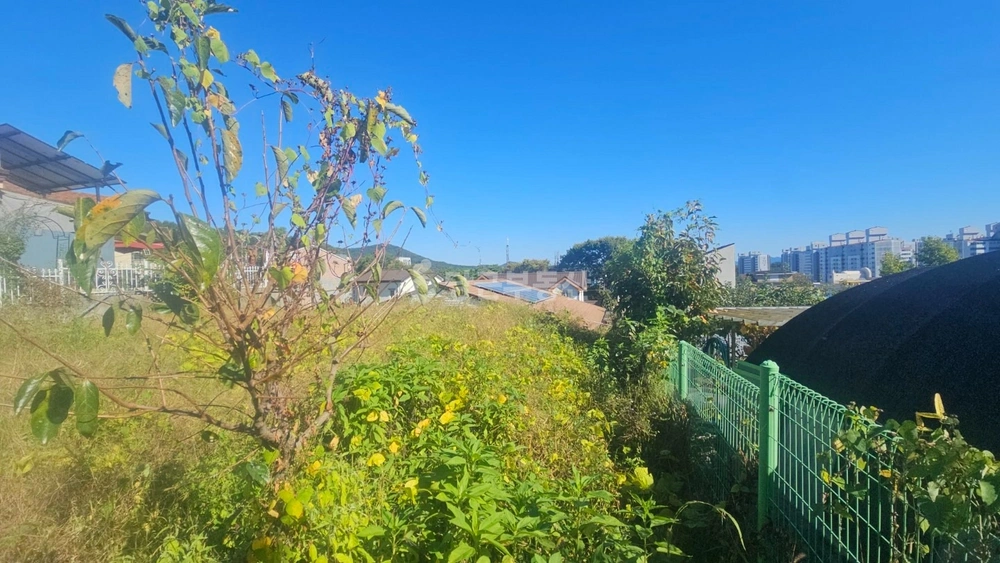 충청남도 계룡시 엄사면 토지 사진 1